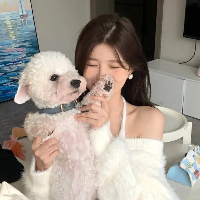谎言之城